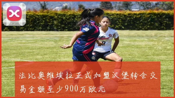 法比奥维埃拉正式加盟汉堡转会交易金额至少900万欧元